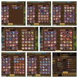 Cuenta Asia Stater, nivel 50+ | 174 6* Monster | 1700 Crytal | Asima(L) + 2DL ( SM3248 ) 1